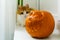 The Cheshire Cat shape carved pumpkin with out of focus red cat