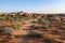 Chesler Park trail in needles district after sunrise, Canyonlands