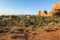 Chesler Park trail in needles district after sunrise, Canyonlands
