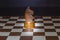 CHESS - ANCIENT INTELLECTUAL GAME OF HUMANITY.