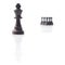 Chess. Black king, pawns shadows on white