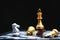 Chess board game, business competitive concept, strong financial capital advantage situation against unstable finance team