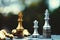 Chess board game, business competitive concept, strong financial capital advantage situation against unstable finance team