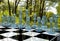 Chess board game in forest garden