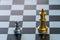 Chess board game,silver chess teame and gold chess team, soft to focus, ideas for business, leadership, teamwork and plan concept