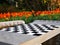 Chess In The Garden