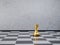Chess gold pawn with a crown on board. Selective focus