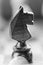 Chess knight pawn on chess board close up. Black and white