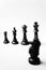 Chess Pawn, King Queen, bishop, knight, rook