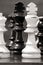 Chess Pieces