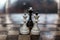 Chess pieces as a metaphor for marriage