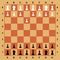 Chess pieces on the board. Vector. Ready-made complete set for the game, mobile application. Professional demo chess. Black and wh