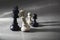 Chess pieces mixed marriage