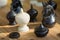 Chess pieces on wooden table, Planing game. chess uniqueness concept on the wooden background