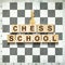 Chess School. Words on wooden blocks, against the background of a chessboard. White queen. Sport. Chess. Background. Education