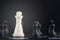 Chess set on chessboard. white king against black pawn