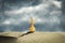 Chess white queen in the sand dunes. Cloudy sky. Leadership concept. Success. Abstraction. Business