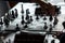 Chessboard with black and white figures on the wooden table. chess tournament, training, master class, camp