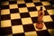 A chessboard on which stands a lone king