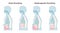 Chest and diaphragmatic breathing types. Anatomical mechanism