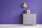 Chest of drawers with golden knobs, vases and leaf set on a purple, empty wall. Place your product