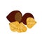 Chest nuts.Vector illustration of nut.