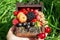 A chest with a set of various berries from the garden: raspberries, red, black and white currants, cherries, blackberries, strawbe
