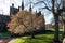 Chester Cathedral Garden UK