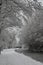 Chesterfield canal covered in snow