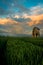 Chesterton Windmill, Warwickshire. During a beautiful Summer Sunset