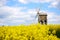 Chesterton Windmill in yellow field