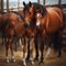 Chestnut brown mother and foal stand in an outdoor corral