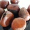 Chestnut ;Buah berangan - malay Popular expensive fruit roast with coffe seed