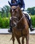 Chestnut dressage horse and girl at show jumping competition, waiting for her turn.