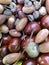 Chestnut and dried acorns background