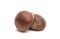 chestnut edible