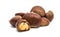 chestnut edible