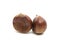 chestnut edible