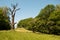 The chestnut forest, where the partisans were hanged by the Germans, World War II