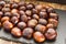 Chestnut fruit located on a platter of slate many all around at the side