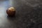 Chestnut on a gray, textured surface.