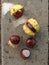 Chestnut with green spike and shell skin on the sidewalk