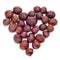 Chestnut heart