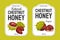 Chestnut Honey Label or Sticker Design with Brown Fruit in Green Spiky Husk Vector Template