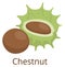 Chestnut icon. Cartoon organic food. Raw seed