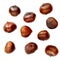 Chestnut Pattern. Roasted  Chestnuts isolated  on white background. Christmas food. Top view. Flat lay