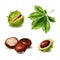 Chestnut Realistic Plant Set