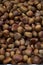 Chestnut in shell texture background. Unpeeled Chestnut