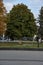 Chestnut tree in the fall in the city square