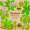 Chestnut vector frame